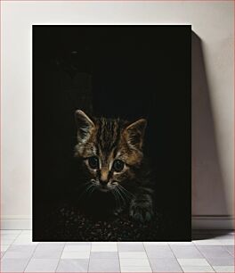 Πίνακας, Kitten in the Dark Γατάκι στο σκοτάδι