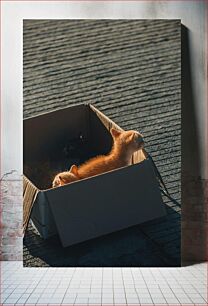 Πίνακας, Kittens in a Box Γατάκια σε κουτί