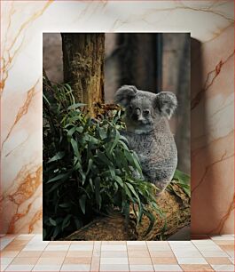 Πίνακας, Koala in a Tree Κοάλα σε ένα δέντρο