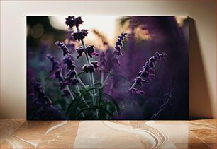 Πίνακας, Lavender at Dusk Λεβάντα στο σούρουπο