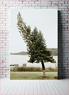 Πίνακας, Leaning Pine by the Lake Πεύκο δίπλα στη λίμνη