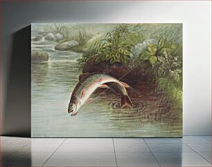 Πίνακας, Leaping Brook Trout chromolithograph (1874) by Samuel Kilbourne