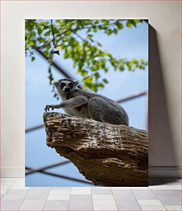 Πίνακας, Lemur on a Branch Λεμούριος σε ένα κλαδί