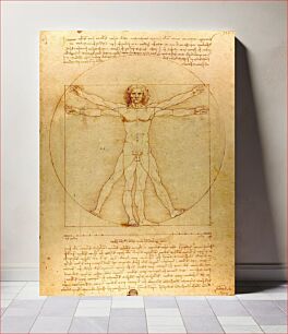 Πίνακας, Leonardo da Vinci's Vitruvian Man (circa 1492)