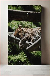 Πίνακας, Leopard Resting on a Hammock Λεοπάρδαλη που στηρίζεται σε μια αιώρα