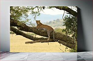 Πίνακας, Leopard Resting on a Tree Λεοπάρδαλη που στηρίζεται σε ένα δέντρο