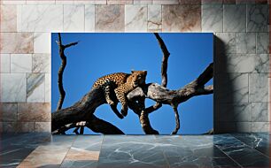 Πίνακας, Leopard Resting on Tree Branch Λεοπάρδαλη που στηρίζεται σε κλαδί δέντρου