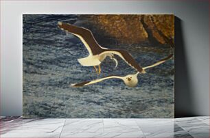 Πίνακας, Lesser Black-backed Gulls Flying (1903) by Bruno Liljefors