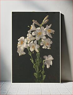 Πίνακας, Lilies