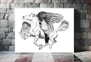 Πίνακας, Line art drawing of Pegasus