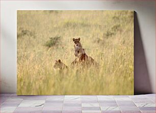 Πίνακας, Lion Cubs in the Grasslands Lion Cubs στα λιβάδια