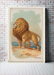 Πίνακας, Lion from the Quadrupeds series N21 for Allen & Ginter Cigarettes (1890) by Allen & Ginter