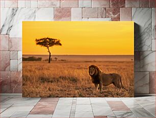 Πίνακας, Lion in the Savanna at Sunset Λιοντάρι στη σαβάνα στο ηλιοβασίλεμα