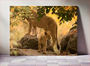 Πίνακας, Lions in the Wild Λιοντάρια στην άγρια ​​φύση