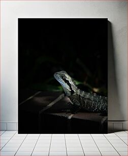 Πίνακας, Lizard in Darkness Σαύρα στο σκοτάδι