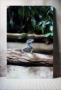 Πίνακας, Lizard on a Log Σαύρα σε ένα κούτσουρο