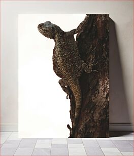 Πίνακας, Lizard on a Tree Σαύρα σε ένα δέντρο