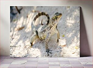 Πίνακας, Lizard on the Beach Σαύρα στην παραλία