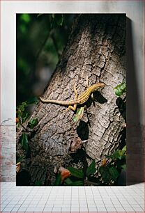 Πίνακας, Lizard on Tree Bark Σαύρα στο φλοιό δέντρου