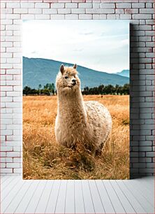 Πίνακας, Llama in the Field Λάμα στο χωράφι