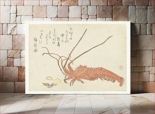 Πίνακας, Lobster and Shells (c.1800 - c.1805) by Kubota Shunman