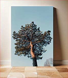 Πίνακας, Lone Tree Against the Sky Lone Tree Against the Sky