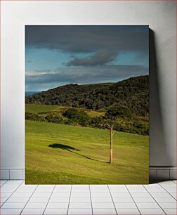 Πίνακας, Lone Tree in Rolling Hills Lone Tree στο Rolling Hills