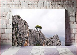 Πίνακας, Lone Tree on Cliffside Lone Tree στο Cliffside