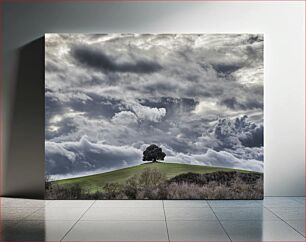 Πίνακας, Lone Tree under Dramatic Clouds Μοναχικό δέντρο κάτω από δραματικά σύννεφα