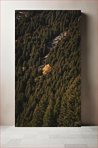 Πίνακας, Lone Yellow Tree in Dense Forest Μοναχικό κίτρινο δέντρο σε πυκνό δάσος