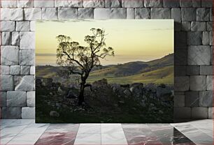 Πίνακας, Lonely Tree at Sunset Μοναχικό δέντρο στο ηλιοβασίλεμα