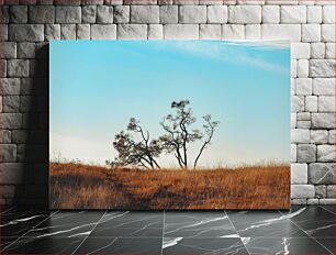 Πίνακας, Lonely Trees in a Field Μοναχικά δέντρα σε ένα χωράφι