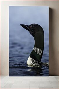 Πίνακας, Loon in Water Loon in Water