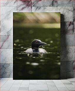 Πίνακας, Loon Swimming in Lake Loon Κολύμπι στη Λίμνη