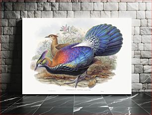 Πίνακας, Lophophorus L'Huysi (1850–1883) by John Gould and Henry Constantine Richter