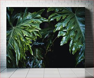 Πίνακας, Lush Green Leaves Πλούσια πράσινα φύλλα