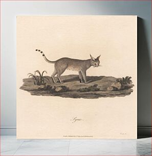 Πίνακας, Lynx by James Heath