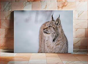 Πίνακας, Lynx in the Snow Λυγξ στο χιόνι