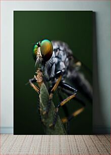 Πίνακας, Macro Shot of a Fly Μακροσκοπική λήψη μιας μύγας