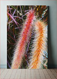 Πίνακας, Macro shot of colorful grass Μακρο πλάνο με πολύχρωμο γρασίδι