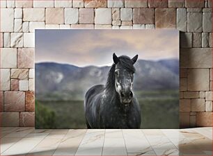 Πίνακας, Majestic Black Horse in a Mountain Landscape Μεγαλοπρεπές μαύρο άλογο σε ορεινό τοπίο