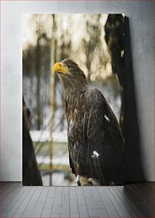 Πίνακας, Majestic Eagle Μεγαλοπρεπής Αετός