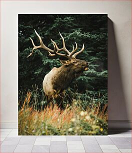 Πίνακας, Majestic Elk in the Forest Majestic Elk in the Forest