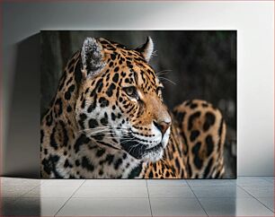 Πίνακας, Majestic Leopard Majestic Leopard