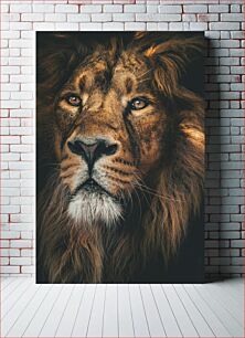 Πίνακας, Majestic Lion Portrait Majestic Lion Portrait