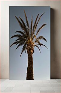 Πίνακας, Majestic Palm Tree Majestic Palm Tree