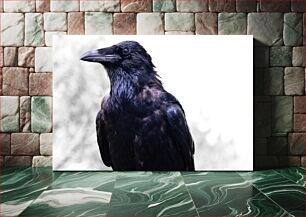 Πίνακας, Majestic Raven Majestic Raven