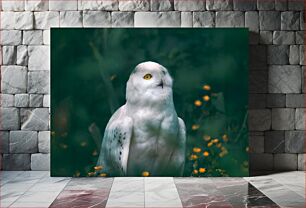 Πίνακας, Majestic White Owl in The Wild Majestic White Owl in The Wild