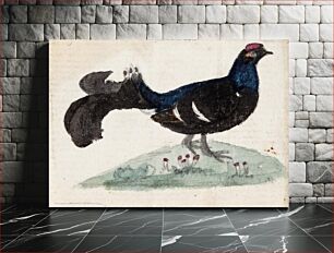 Πίνακας, Male black grouse, 1831, by Ferdinand von Wright