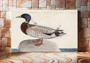 Πίνακας, Mallard, 1831, by Ferdinand von Wright